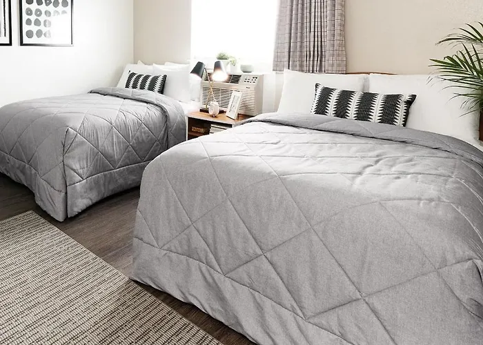 Intown Suites Extended Stay Houston Tx - Greenspoint